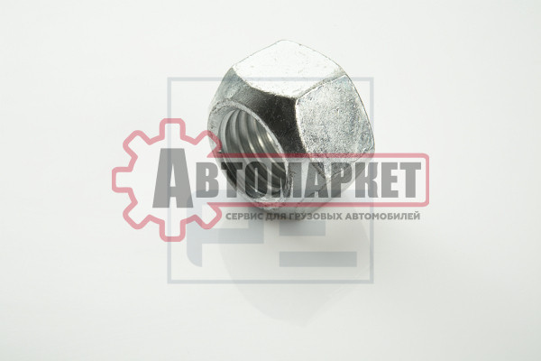 Гайка болта рессоры 070.407-00 M16x2 H=16 SW24 \SAF/Kassbohrer