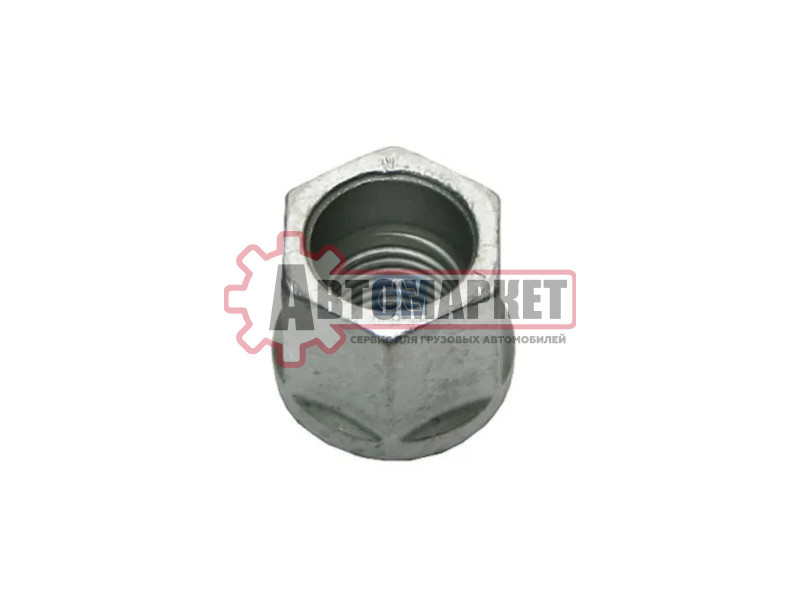 Гайка стремянки M22*2.5 (10) Scania 4, P/G/R/T Series, Bus