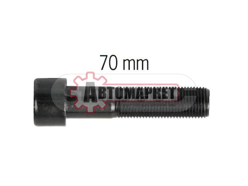 Болт M10x1/40 мм ВАБКО 17.5 ",19.5" / 22.5" Single Piston