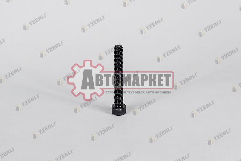 Болт крепления ленточного хомута бака Scania