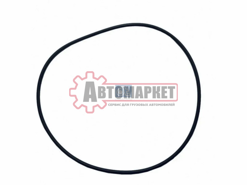 Кольцо уплотнительное (р) 269x281x6\MB Actros, Axor
