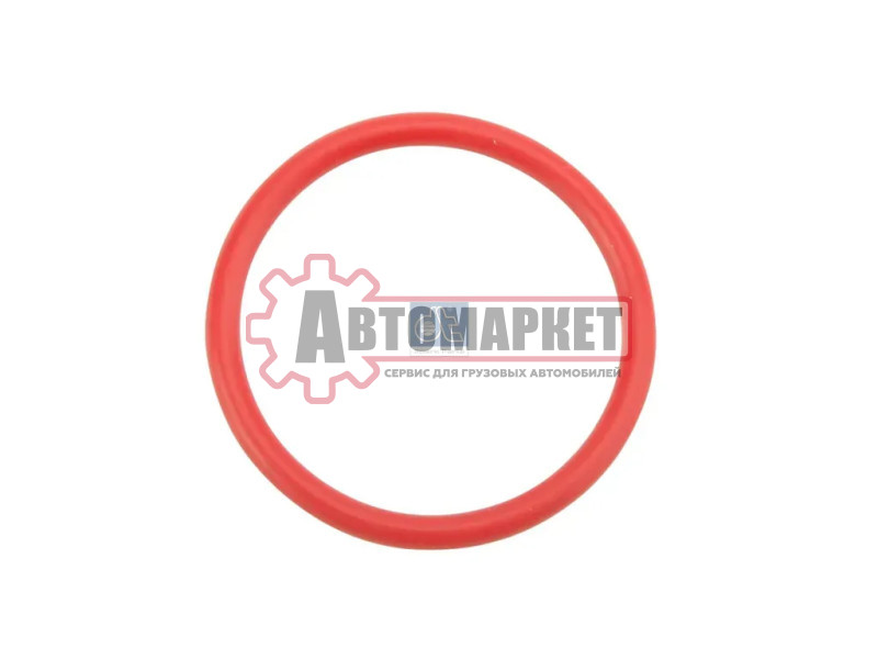 Кольцо уплотнительное форсунки RVI