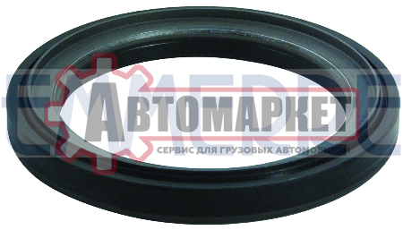 Сальник ступицы 100x135x13/15 (без кольца упл.) \ROR TE9000/9300