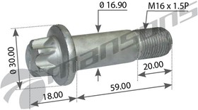 Болт крепления суппорта (ROTOS) M16x1.5x59