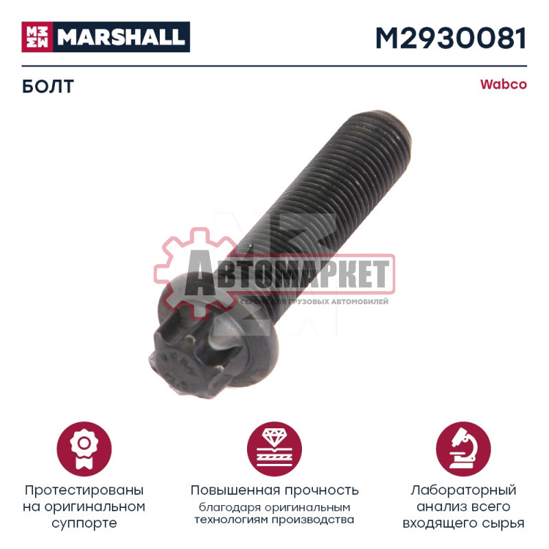 Бoлт крышки суппорта M10x1x40 PAN 17