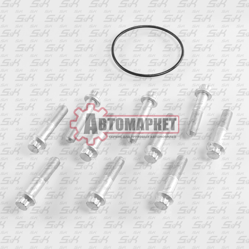 Болт диска тормозного M14*1,5*65, ком-кт 10 шт + сальник + смазка) Schmitz/SAF