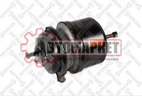 Энергоаккумулятор 24/30 Scania аналог Wabco